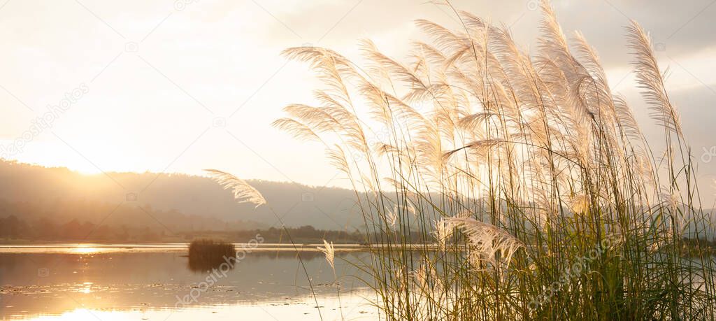 A tranquil sunset lake with reed flowers swinging in the wind, glowing sun setting over a mountain range in backgrounds.