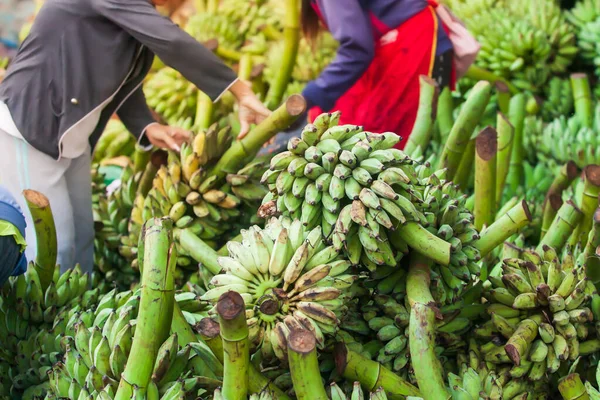 Vendedora Laosiana Selecciona Plátanos Frescos Para Venta Mercado Diario Pakse — Foto de Stock