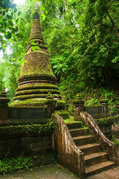 Starożytna Pagoda Tropikalnym Lesie Porze Deszczowej Bujny Mech Porosty Rosnące — Zdjęcie stockowe