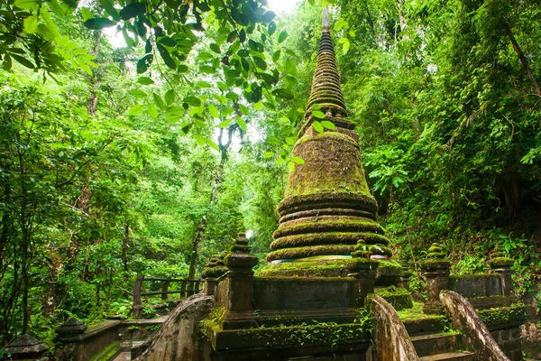 Ancienne Pagode Dans Forêt Tropicale Saison Des Pluies Mousse Luxuriante — Photo