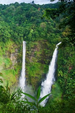 Harika Tad Fane şelalesi, sisli, pitoresk yağmur mevsiminde ikiz şelalede, Güney Laos 'ta turistik eğlence..