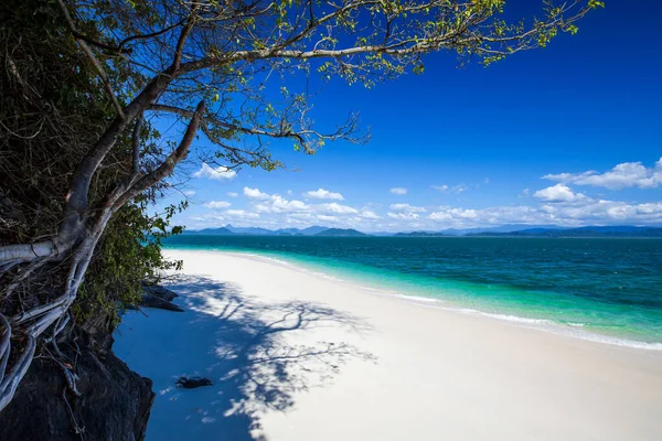 晴れた夏には絵のような熱帯の島 白い砂浜にはガジュマルの木の絵の抽象的な影 — ストック写真