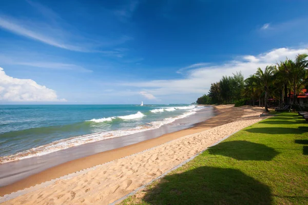 Spiaggia Tropicale Pittoresca Giardino Con Sedie Sdraio Estate Soleggiata Ombra — Foto Stock