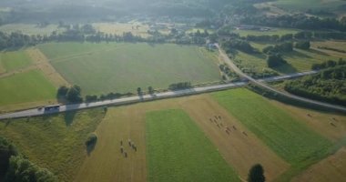 Elsass orman havadan görünümü