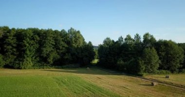 Elsass orman havadan görünümü