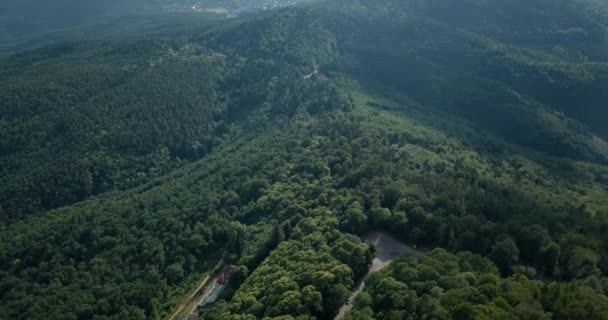 Vista Aérea Del Bosque Elsass — Vídeo de stock