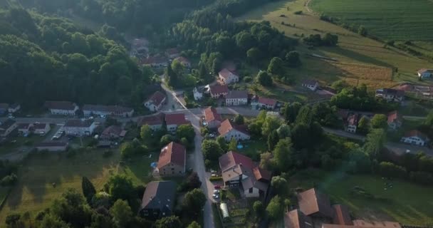 Elsass Wald Luftaufnahme — Stockvideo