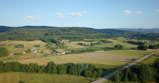 Elsass 森林空中写真 — ストック動画