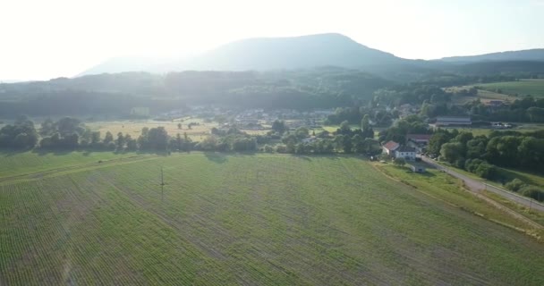 Elsass Forest Aerial View — Stock Video