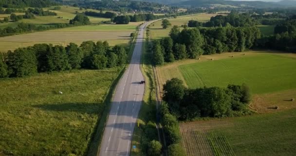 Vista Aérea Del Bosque Elsass — Vídeos de Stock