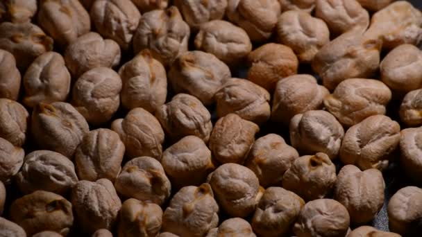 Pois chiches ou garbanzos aux légumes crus gyrating — Video