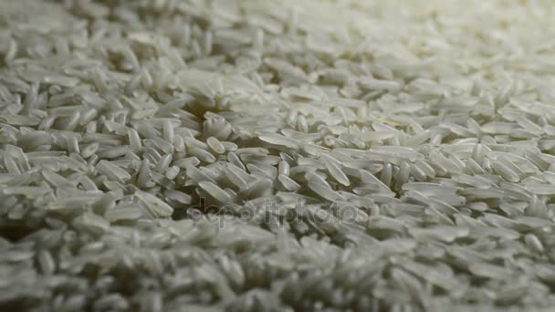 Ris basmati obearbetade svarvning — Stockvideo