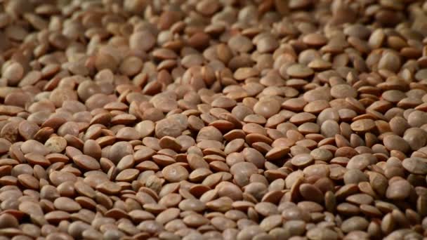 Leguminosas lentilhas cruas legumes girando em fundo preto — Vídeo de Stock