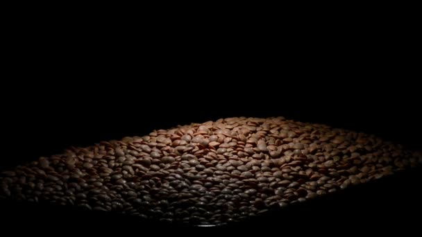 Чечевица бобовые овощи gyrating на черном фоне — стоковое видео