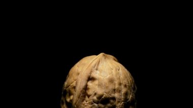 Siyah arka plan üzerine dönüm ayrıntı fındık, ceviz