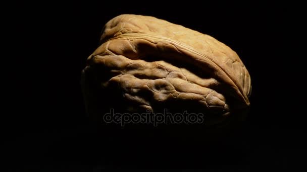 Walnut nut fruit food turning on black background — Stock Video