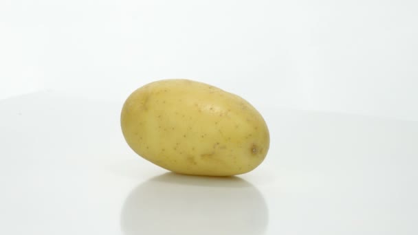 Картопляна їжа, що вмикається на білому тлі — стокове відео
