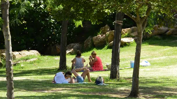 Mężczyzn i kobiet, leżąc na trawie w parku publicznym — Wideo stockowe