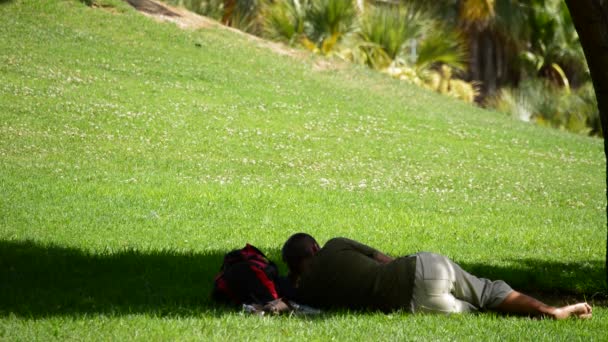 여름에 공원에서 나무 그늘에 누워 휴식 하는 남자 — 비디오