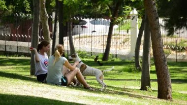Kadın köpeğini bir parkta oynarken