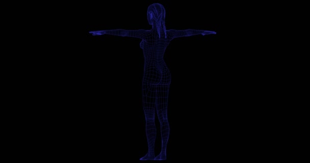 Corpo donna in wireframe rappresentazione girevole su sfondo nero — Video Stock