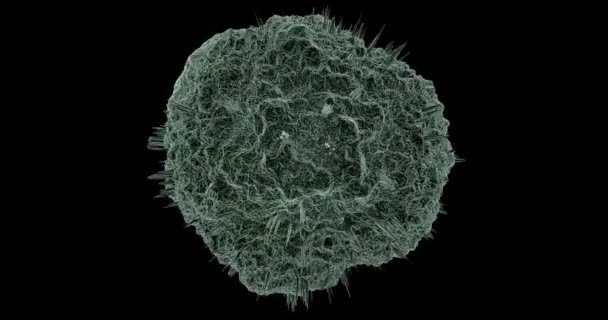 Мікроскоп вид вірусу, що обертається — стокове відео
