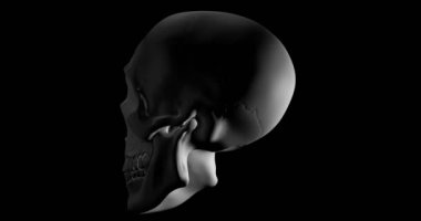 İnsan kafatası siyah arka plan üzerine gyrating