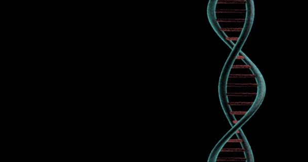Cadena de giro del ADN sobre fondo negro — Vídeos de Stock