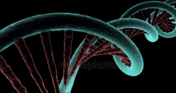 Detail of strand of dna gyrating on black background in 4k format — Stock Video