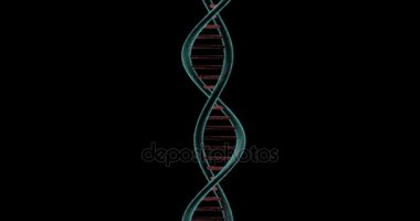 DNA iplikçikleri siyah arka plan üzerine gyrating zinciri