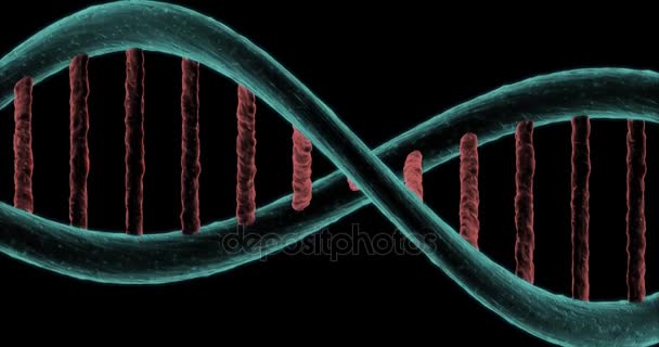 Animation of dna chain gyrating on black background — Stock Video