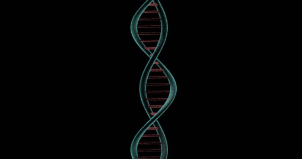 Řetězec DNA pramenů gyrating na černém pozadí — Stock video