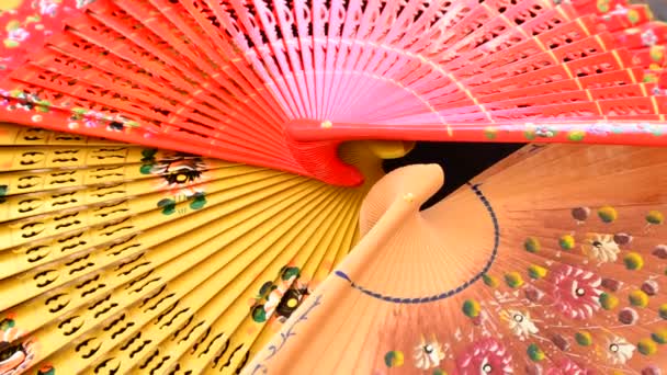 Set of traditional hand fans decorated with flowers gyrating — Stock Video