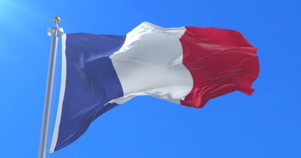 Drapeau français agitant le vent dans le ciel bleu, boucle — Video