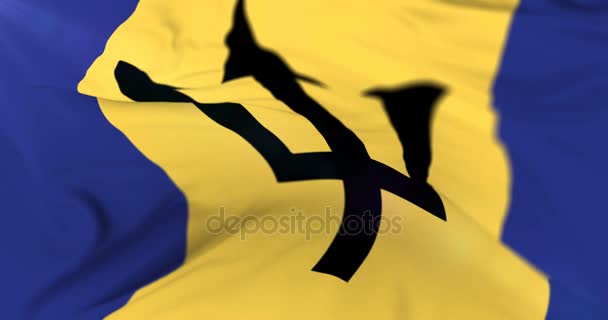 Μπαρμπάντος σημαία να κυματίζει στην wind, βρόχου — Αρχείο Βίντεο