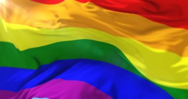 Gökkuşağı bayrağı, Lgbt gurur bayrak veya eşcinsel gurur bayrak sallayarak, döngü