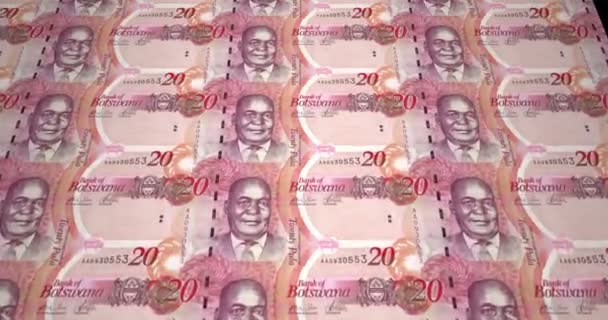 Billetes Veinte Pulas Botswana Dinero Efectivo Bucle — Vídeo de stock