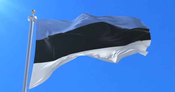Bandeira Estônia Acenando Vento Com Céu Azul Lento Loop — Vídeo de Stock