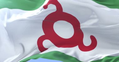 İnguşetya, rüzgarda yavaş mavi gökyüzünde sallayarak, bayrak, döngü