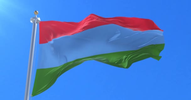 Vlag Van Republiek Karelië Zwaaien Wind Met Blauwe Hemel Traag — Stockvideo