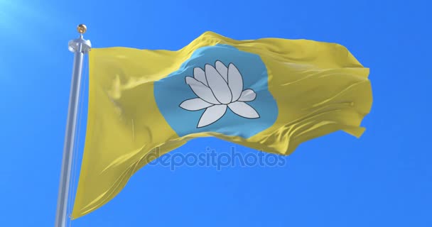 Flaga Kałmucji Wiatr Niebieski Niebo Pętlę Powolne — Wideo stockowe