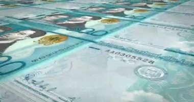 Beş yüz peso, Dominik Cumhuriyeti, nakit para, döngü banknotlar