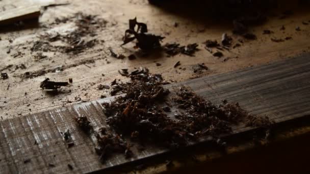琴师在工作场所用沙子打磨木材 — 图库视频影像