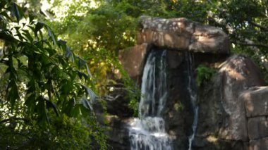 Tropikal bir ortamda arkeolojik bir harabe üzerinde çalışan su şelale