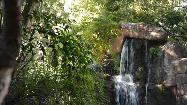 緑の葉と考古学的な台なしの上実行している水の滝 — ストック動画