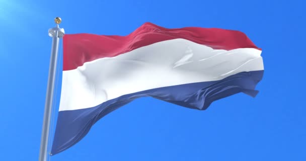 Nederlandse Vlag Zwaaien Wind Met Blauwe Hemel Traag Lus — Stockvideo