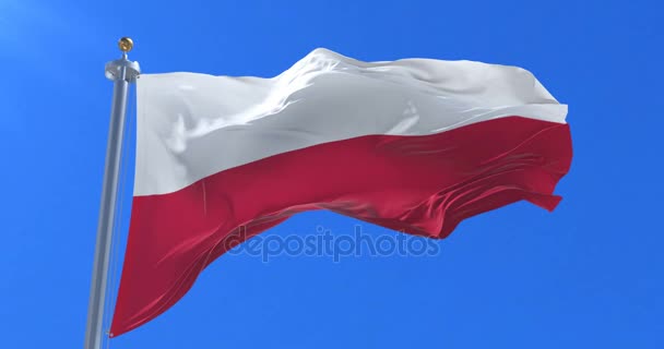 Bandera Polonia Ondeando Viento Con Cielo Azul Lento Bucle — Vídeos de Stock