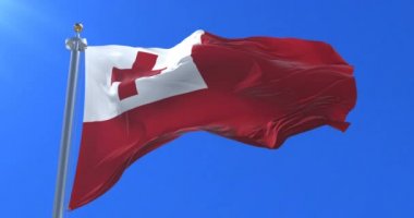 Tonga yavaş mavi gökyüzü ile rüzgarda sallayarak bayrak, döngü
