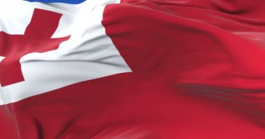 Tonga bayrak sallayarak rüzgarda, yavaş mavi gökyüzü ile döngü