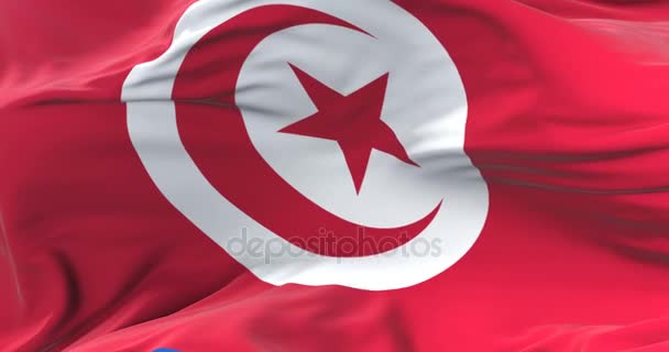 Tunisia Flag Waving Wind Slow Blue Sky Loop — Stock Video